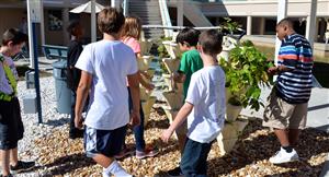 Hydroponic Garden 
